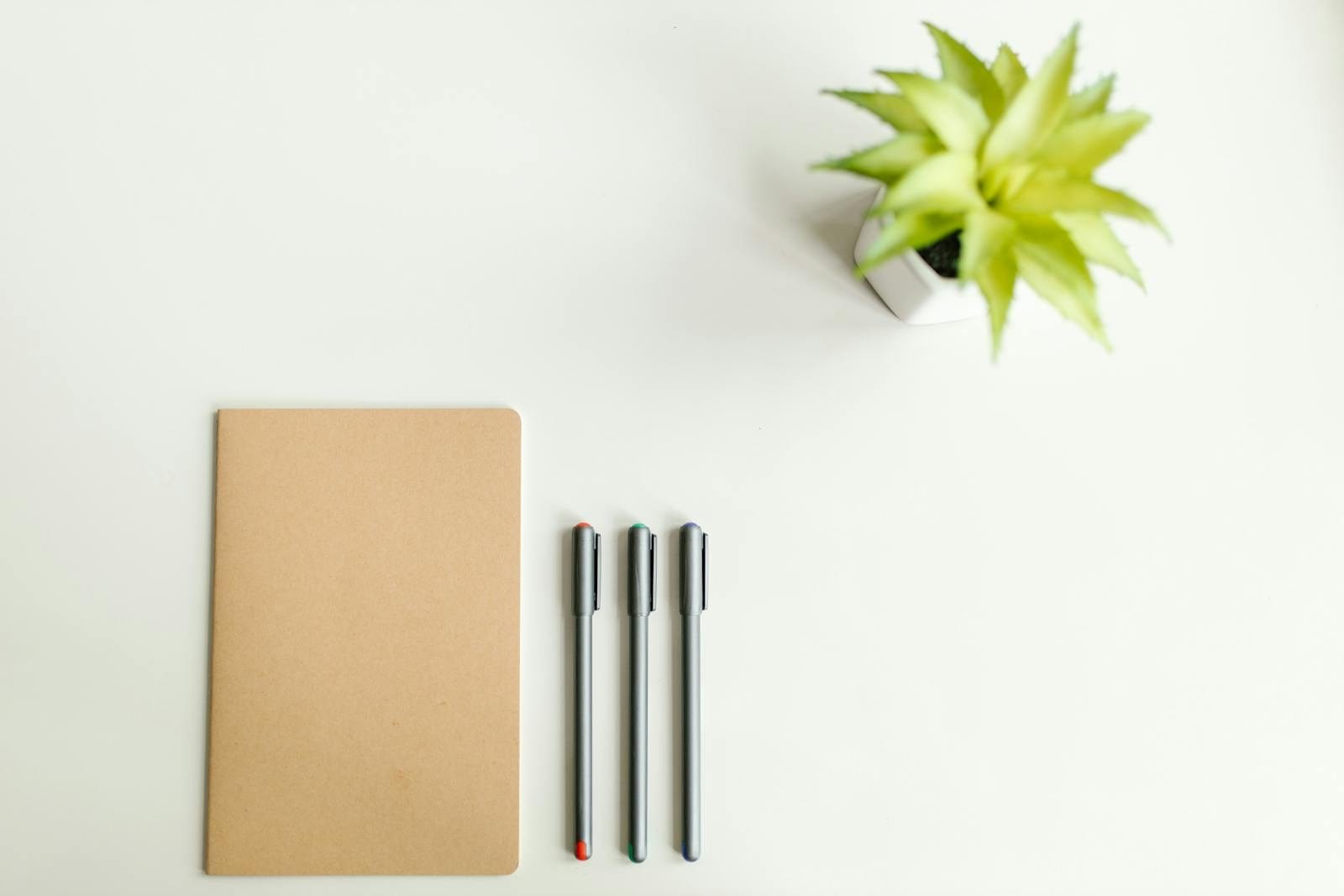 Minimalist flat lay with notebook, pens, and potted plant on white surface