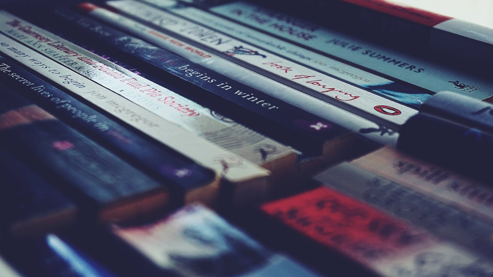 Collection of neatly arranged books on shelf with visible titles