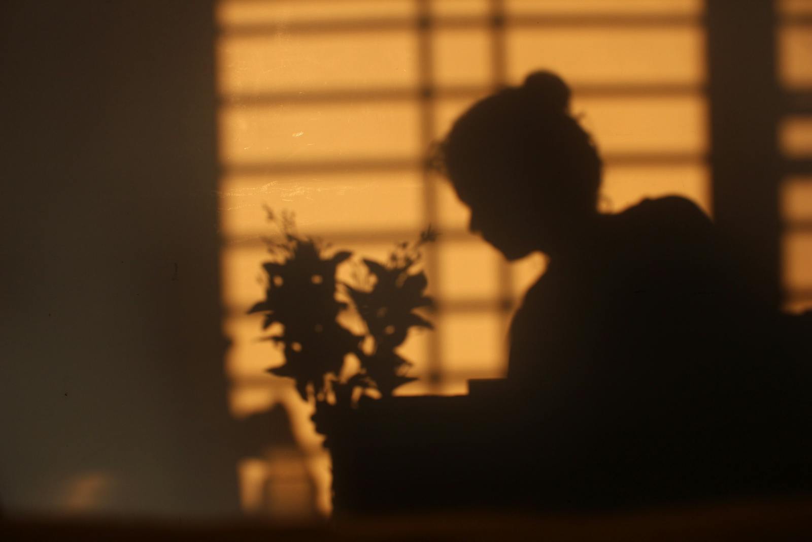 Artistic silhouette of person and plant at sunset, illustrating creative mood