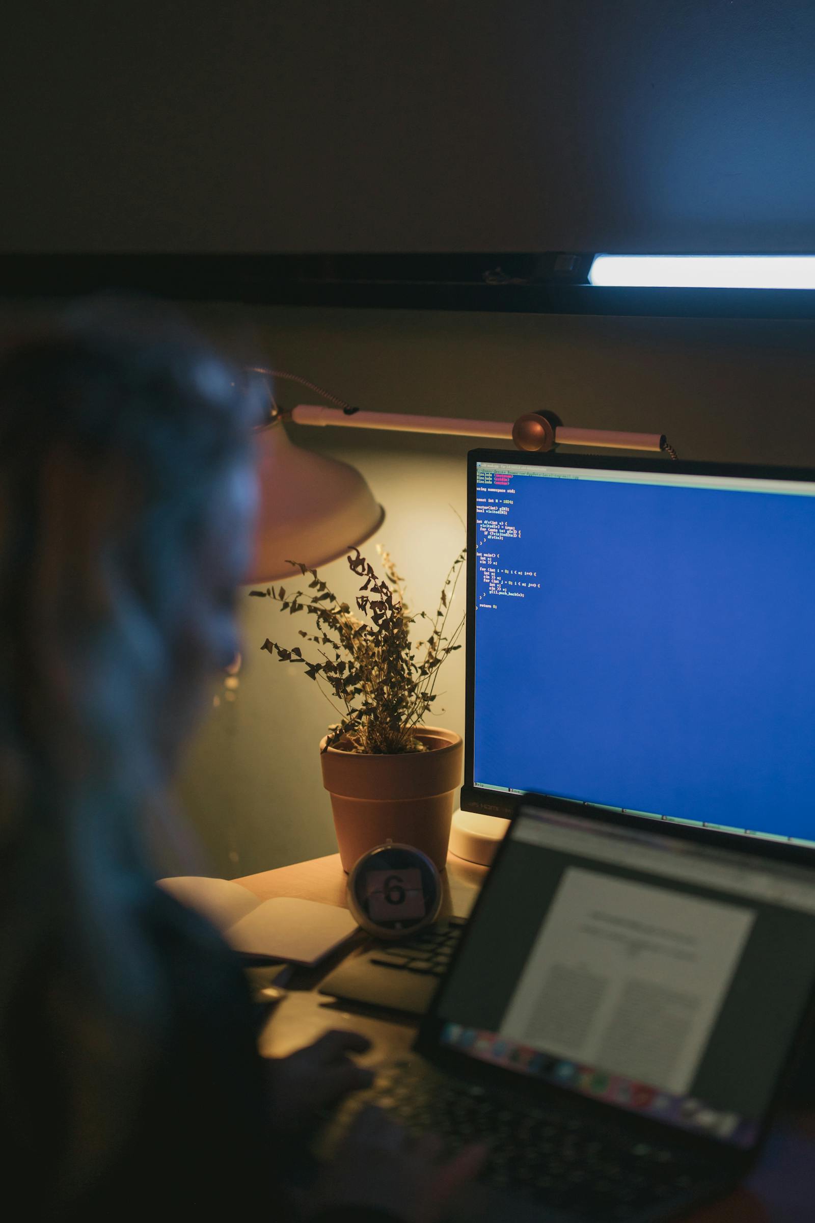 Person using computer and laptop at night with potted plant and desk lamp
